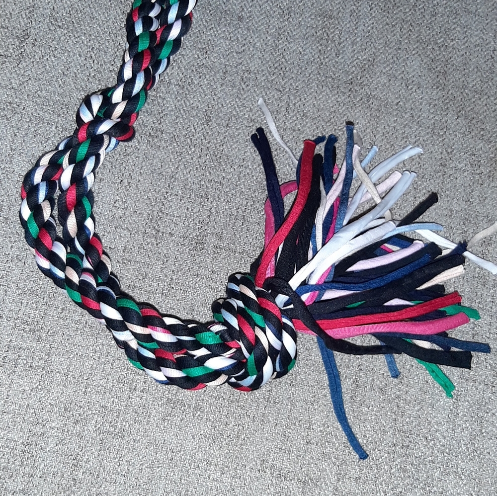 GREENBIER KENNEL CLUB DOGTOY.